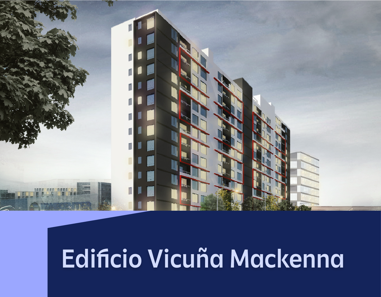 vicuña ñuñoa card