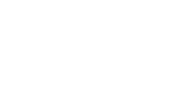 Vivaceta_Logo-3